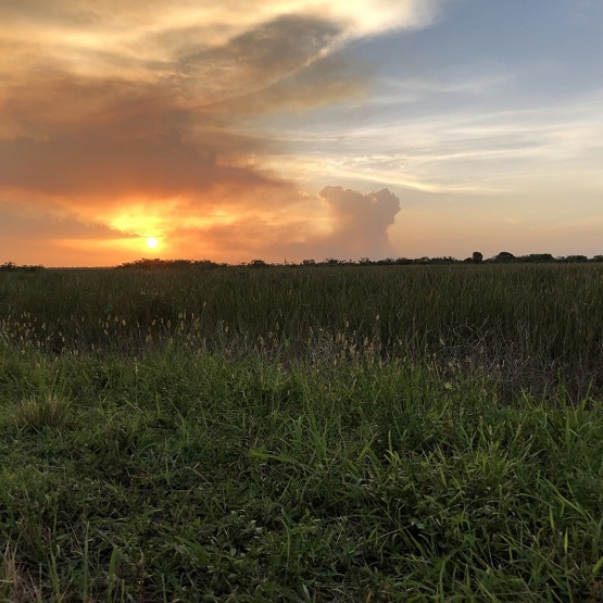 Everglades at sunset