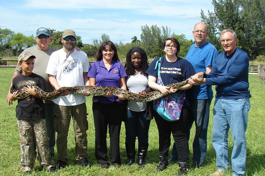 florida anaconda