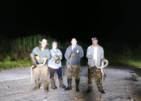 Hunters with a python