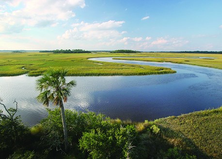 Guana River WMA
