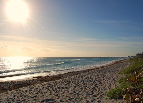 Florida Beach