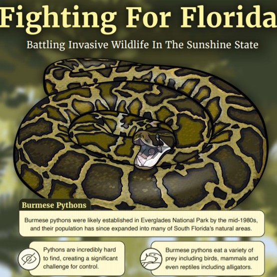 Invasive Species Infographic