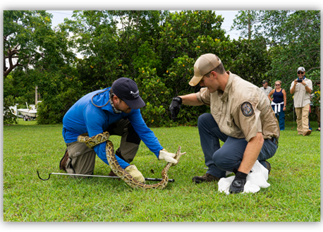 Picture of Python Patrol For Web