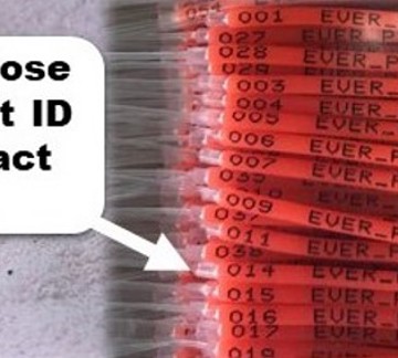 Close up of research tags with ID number visible