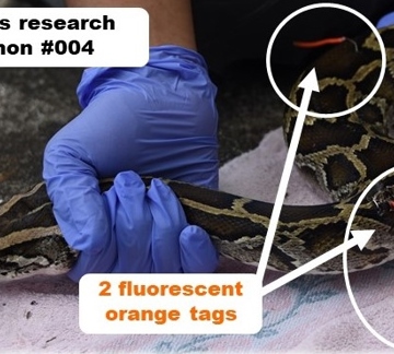 Tagged research python 