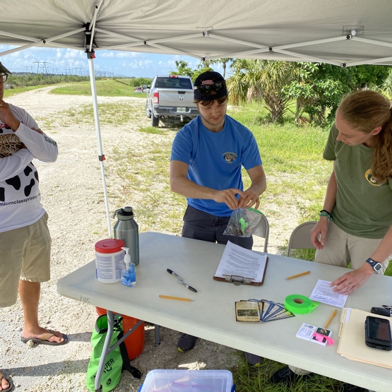 Biologists check in a python at a station